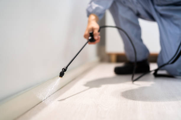 Professional exterminator conducting IPM assessment in Bloomfield